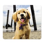 Fellowes Mouse Pad 5916401 Recycled Puppy At Beach