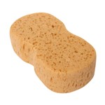 Mr Clean Dirt buster