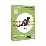 Bibbulmun Premium Copy Paper A4 80gsm Carbon Neutral White Carton 5 Reams