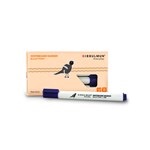 Bibbulmun Whiteboard Marker Bullet Point Pack 10 Blue