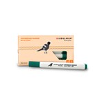 Bibbulmun Whiteboard Marker Bullet Point Pack 10 Green