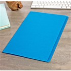 Document Filing  Presentation